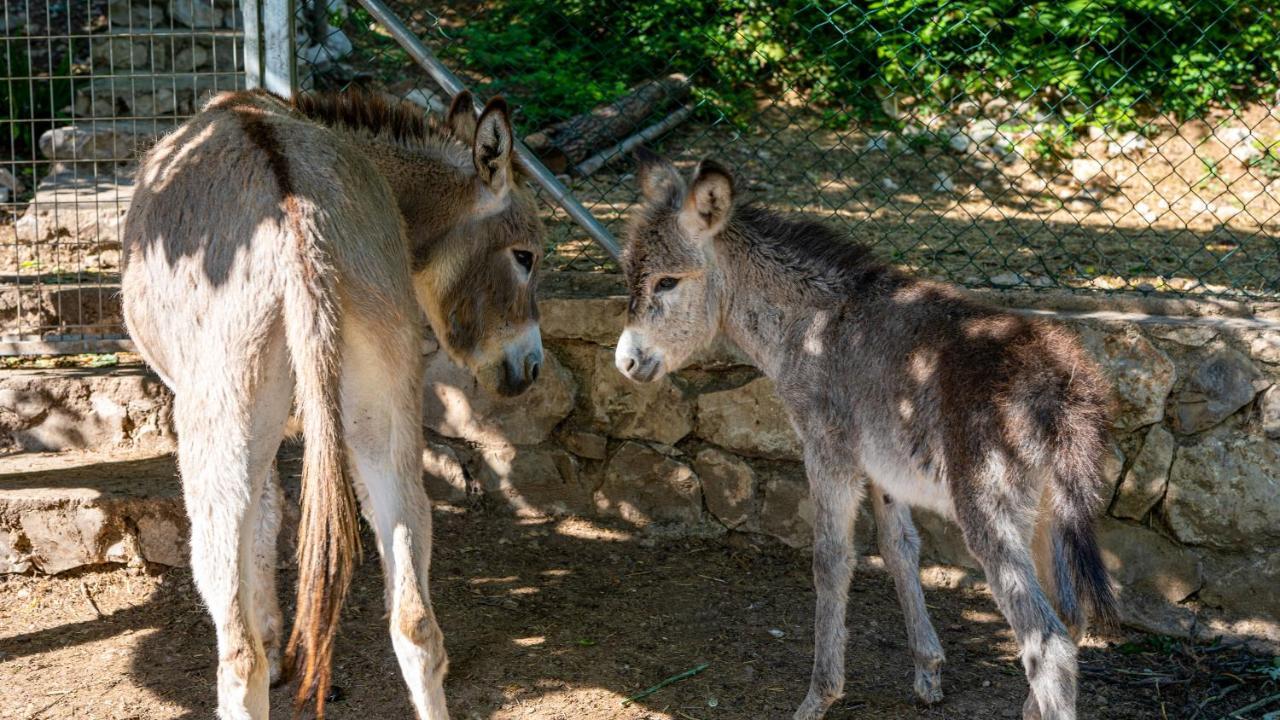 Casa Rural La Chocolateria Horche Bagian luar foto